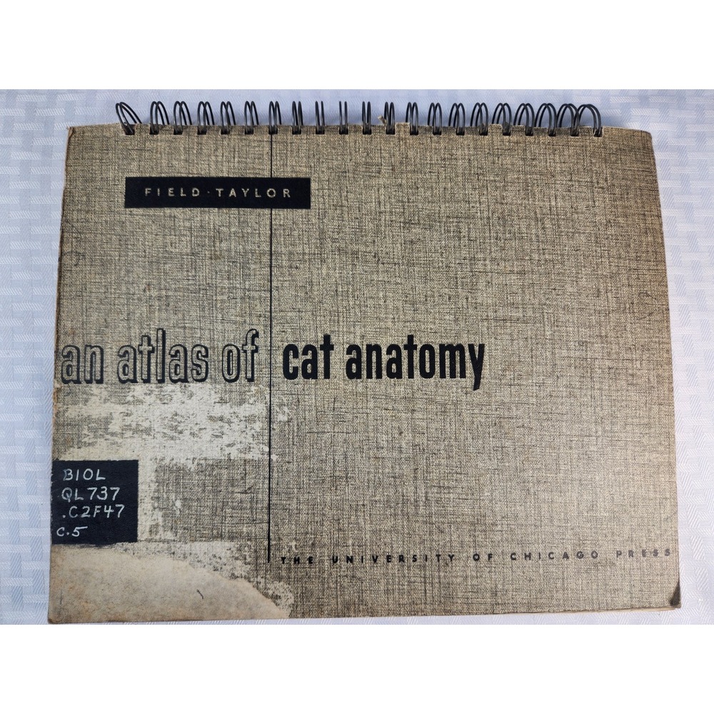 An Atlas of Cat Anatomy, 8th edition, Field-Taylor, 1964, University Chicago